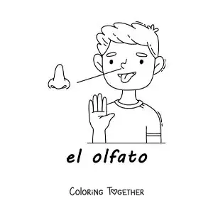 Coloring page of the sense of smell in the human body for kids