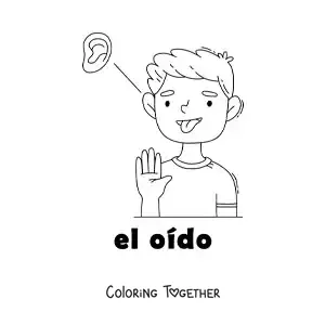 Coloring page of the sense of hearing in the human body for kids