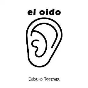 Coloring page of an educational worksheet on the sense of hearing