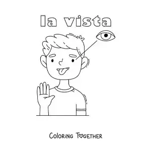 Coloring page of the sense of sight in the human body