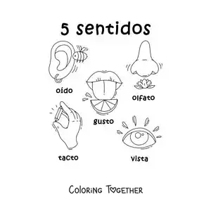 Coloring page of cartoon examples of the 5 senses for kids