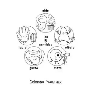 Coloring page of cartoons of the 5 senses for kids