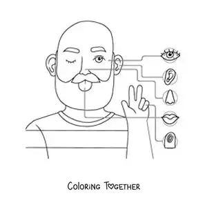 Coloring page of the organs of the 5 senses in the body