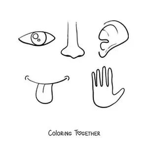 Coloring page of body parts of the 5 senses
