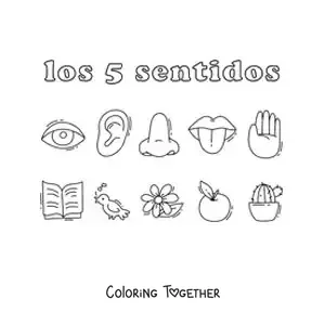 Coloring page of the organs of the five human senses with examples