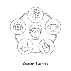 Coloring page of an educational worksheet with cartoons of the five senses