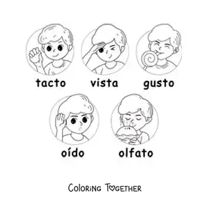 Coloring page of cartoons of the five senses for kids