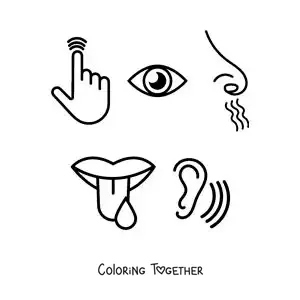 Coloring page of symbols of the five senses