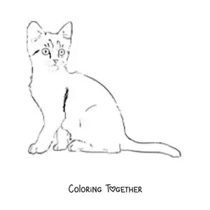 Coloring page of a realistic cat sitting