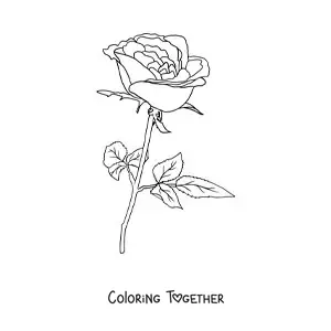 Coloring page of a rose with leaves
