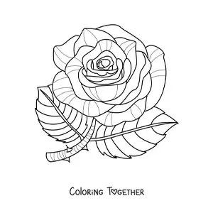Coloring page of a large rose with leaves and thorns