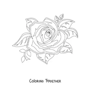 Coloring page of a large realistic rose with leaves