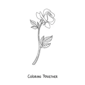 Coloring page of a small realistic rose with leaves