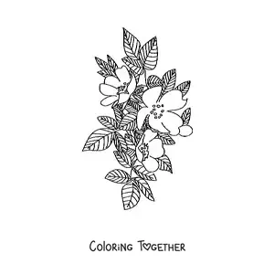 Coloring page of a wild rose
