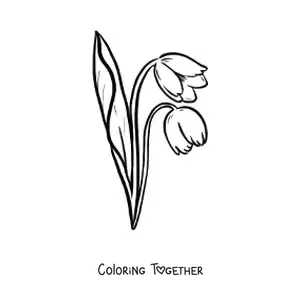 Coloring page of a pair of tulips with leaves