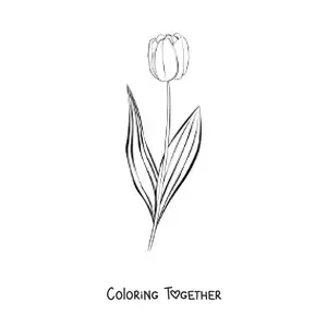 Coloring page of a small tulip with leaves
