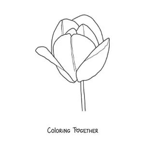 Coloring page of a large tulip