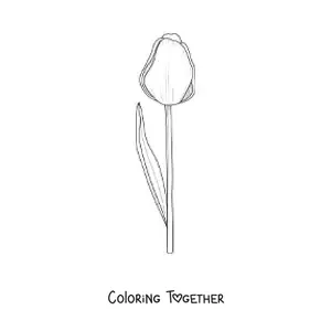 Coloring page of a tulip