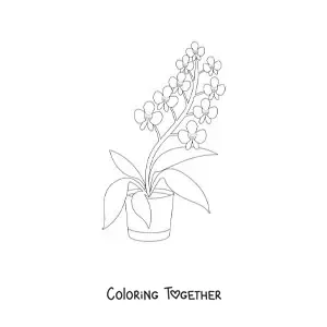 Coloring page of a flowerpot with phalaenopsis orchids