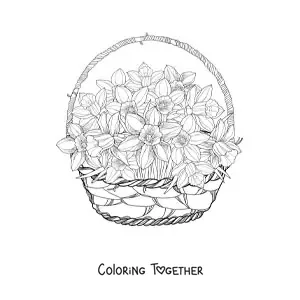 Coloring page of a basket of cattleya orchids
