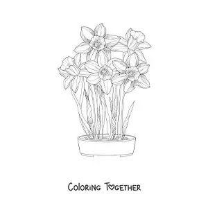 Coloring page of several cattleya orchids in a flowerpot