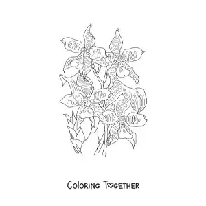 Coloring page of cambria orchids