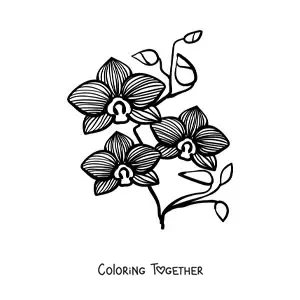 Coloring page of a branch of phalaenopsis orchids with leaves