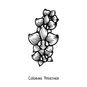 Coloring page of three large orchids