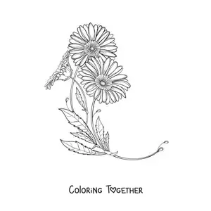 Coloring page of two daisies with leaves