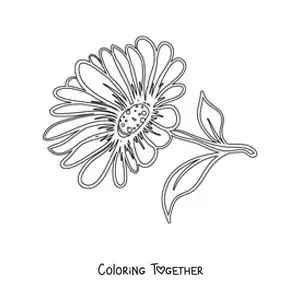 Coloring page of a daisy
