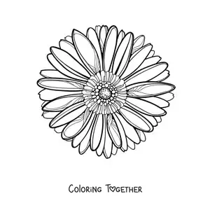 Coloring page of a large realistic daisy seen from the front