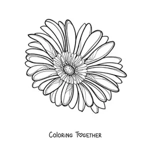 Coloring page of a large realistic daisy
