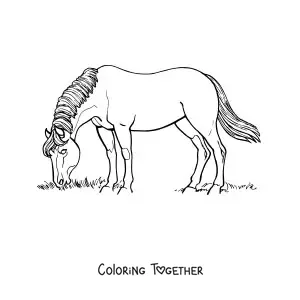 Coloring page of a horse grazing in a field