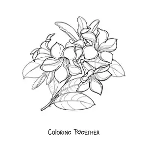 Coloring page of a bouquet of lilies with leaves