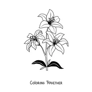 Coloring page of three lilies