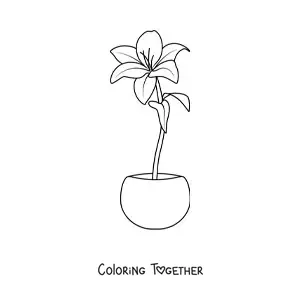 Coloring page of a lily in a flowerpot