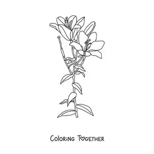 Coloring page of two lilies with leaves