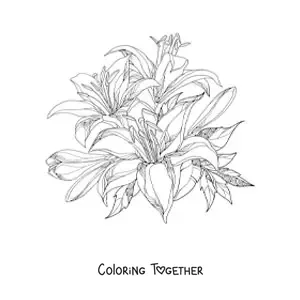 Coloring page of a cluster of realistic lilies with leaves