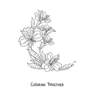Coloring page of five beautiful realistic lilies with leaves