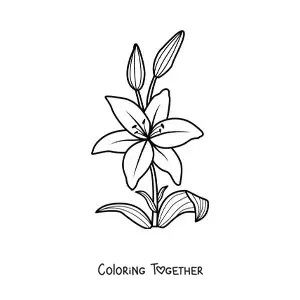 Coloring page of a simple lily with leaves
