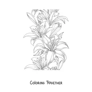 Coloring page of several realistic wild lilies