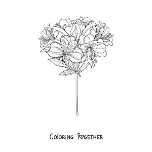 Coloring page of a bouquet of realistic lilies