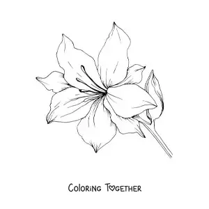Coloring page of a large lily with leaves