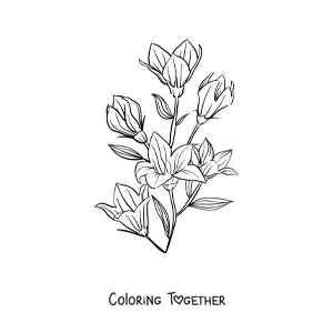 Coloring page of several lilies with leaves