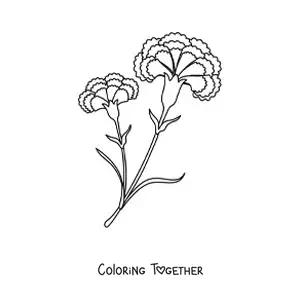 Coloring page of two beautiful carnations