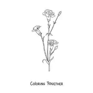 Coloring page of three small carnations