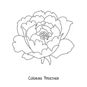 Coloring page of a large carnation