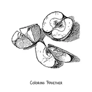 Coloring page of several apple slices