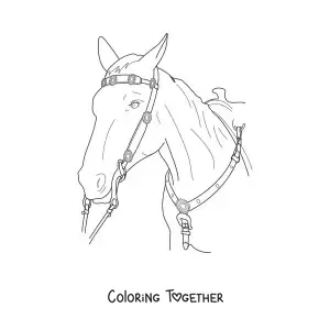 Coloring page of a horse head with the reins on