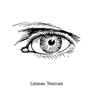 Coloring page of a realistic eye